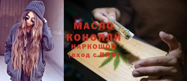 индика Новокубанск