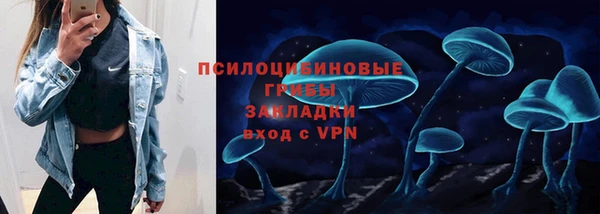 индика Новокубанск