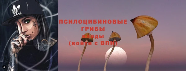 стаф Новодвинск