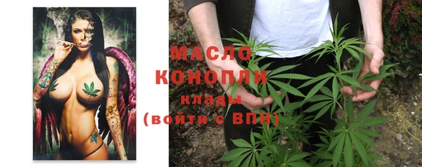 стаф Новодвинск