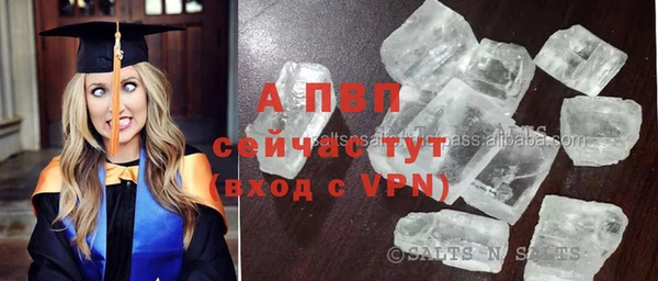 стаф Новодвинск