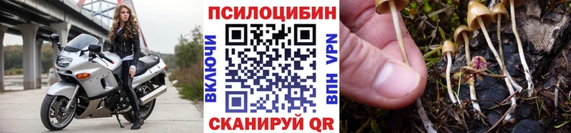 darknet какой сайт  Макушино  Галлюциногенные грибы прущие грибы 